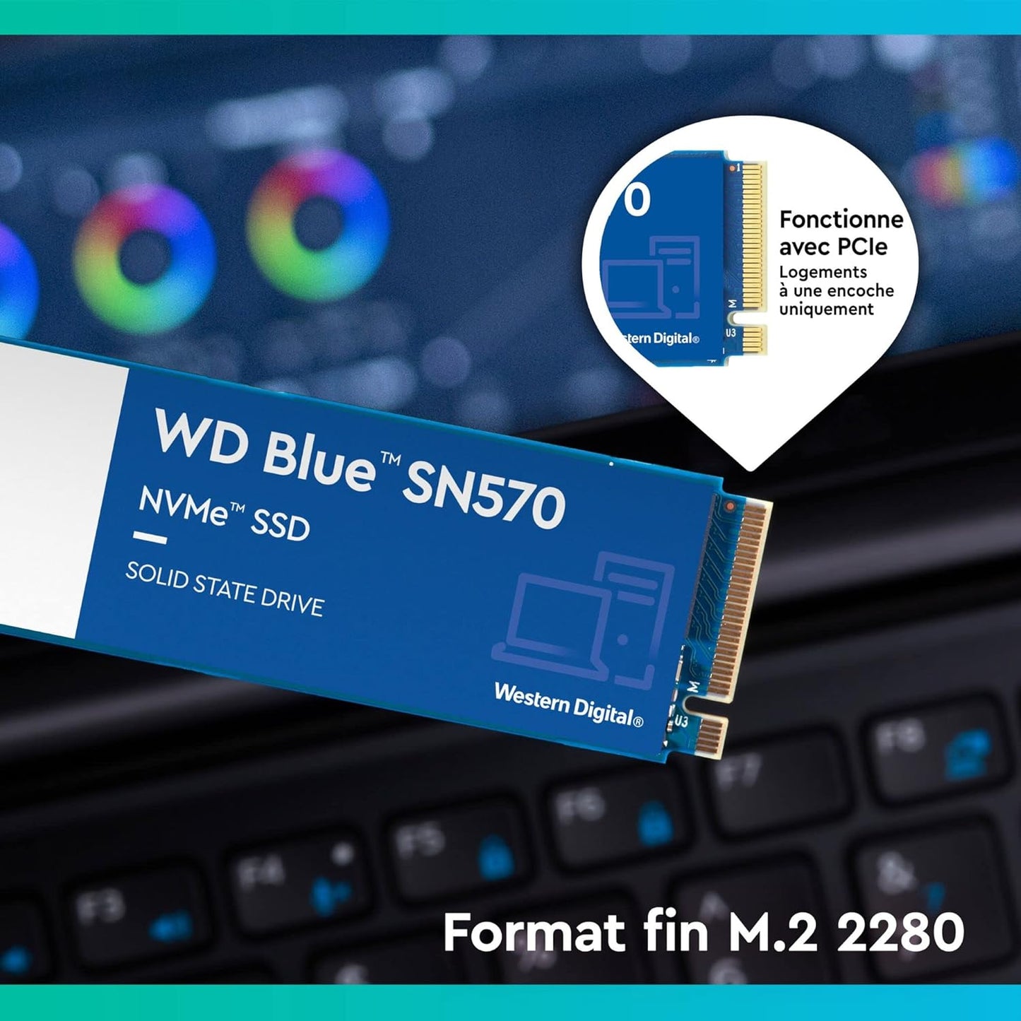 Western Digital Blue WD SN570 NVMe 500 Go 3500 Mo/s SSD PCIe